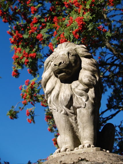 Lion at the Gate
Mains of Edradour
Photograph by Jan Moles